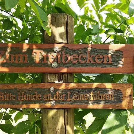 Bergzeit In Langewiese - Landelijke Star Appartement