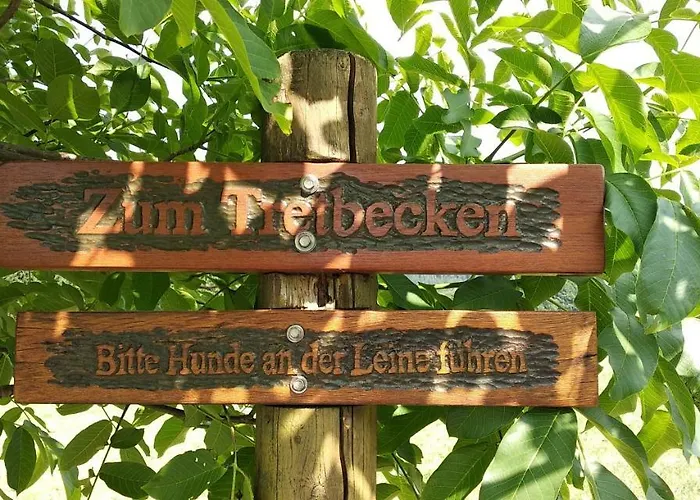 Bergzeit In Langewiese - Landelijke Star Apartman